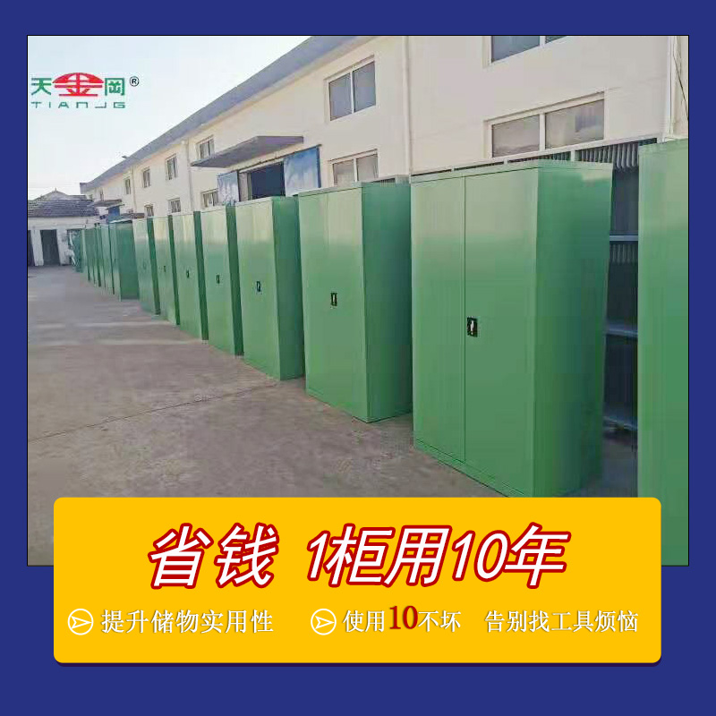 雙開(kāi)門(mén)工具柜生產(chǎn)廠家上海