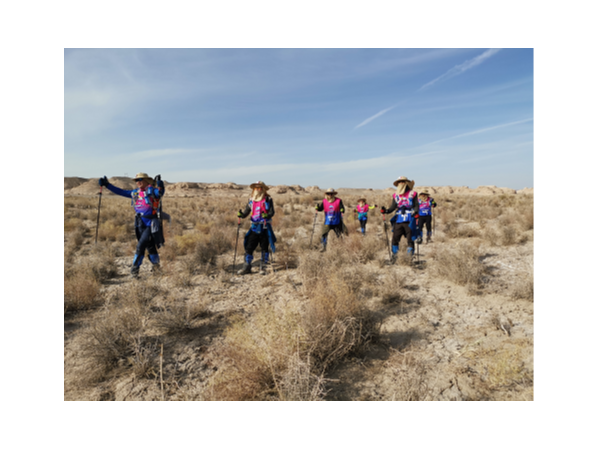 蘇州工具柜廠家天金岡領導人領略敦煌大漠魅力，感悟生命的意義！